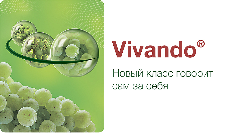 Vivando® - описание и характеристика продукта