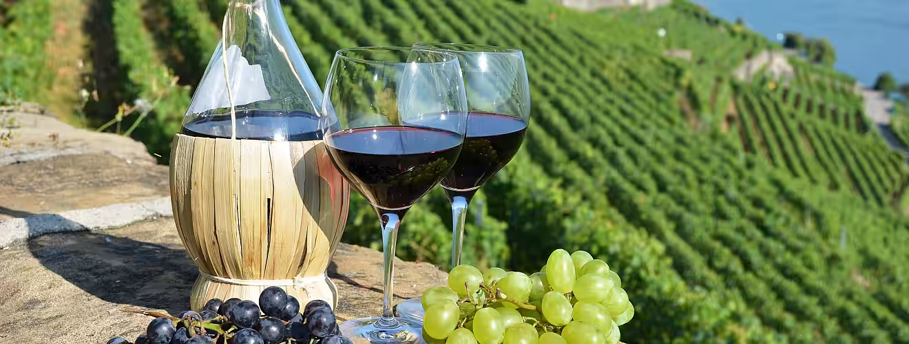 Producția mondială de vin crește, dar rămâne mult sub media ultimilor ani