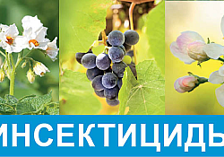 2017_03_insecticide-foto-1.jpg