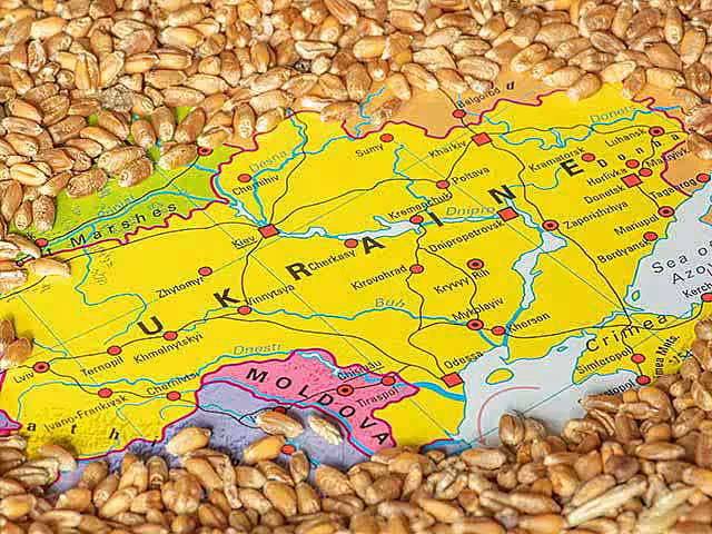 Cinci state membre UE din Europa de Est cer taxe de import pentru cerealele din Ucraina