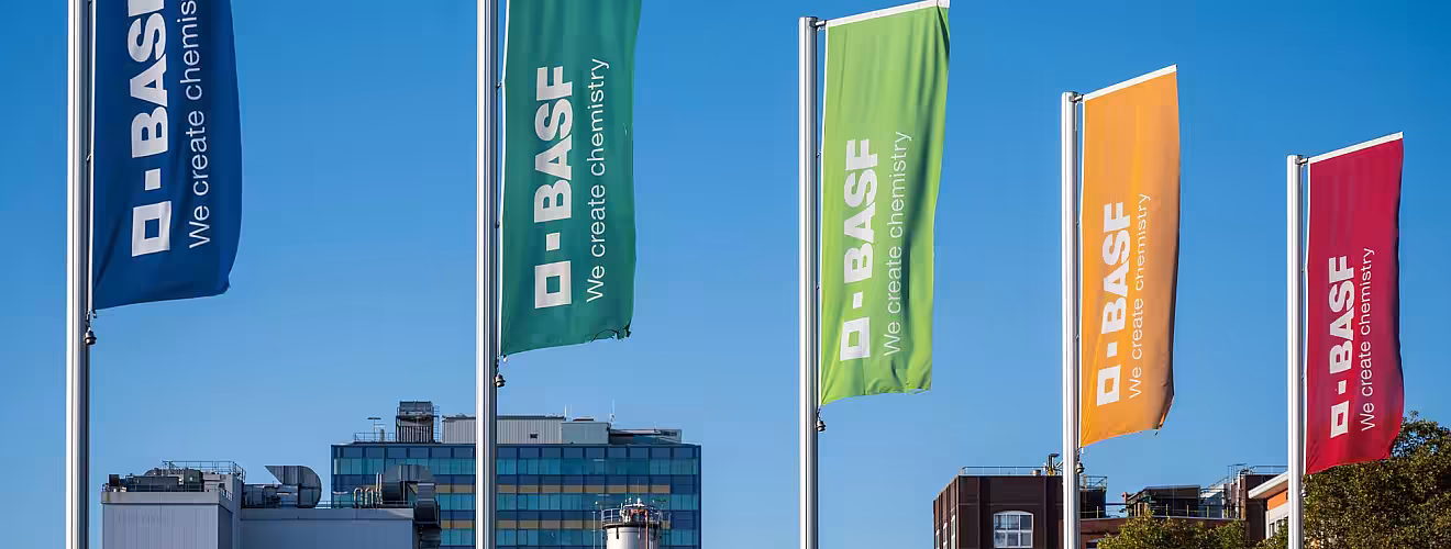 BASF объявил о разработке фунгицида нового поколения против септориоза