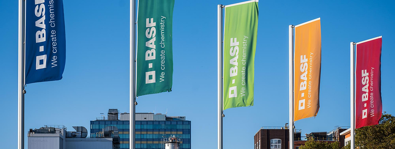 BASF объявил о разработке фунгицида нового поколения против септориоза