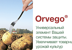 2017_03_orvego-foto.jpg 2017_03_orvego-foto.jpg