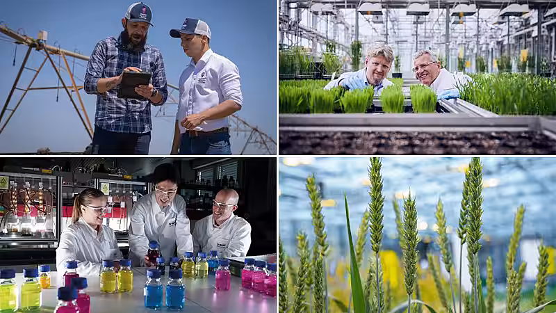 Investiții de circa 2 miliarde euro la BASF în cercetare și dezvoltare, în 2020