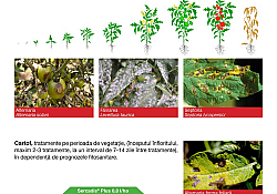 2020_05_Sercadis4.jpg