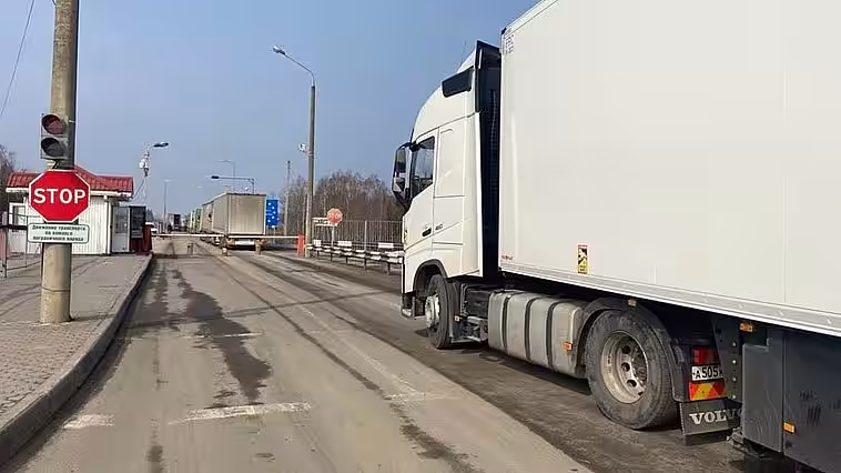 CSE a decis: Restricții de import pentru semințe de floarea-soarelui și cereale