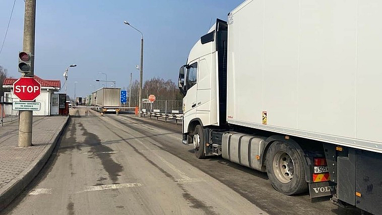 CSE a decis: Restricții de import pentru semințe de floarea-soarelui și cereale
