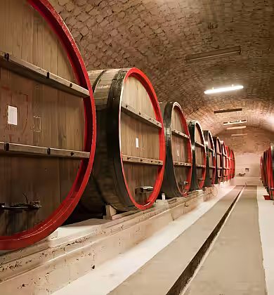 Exportul de divin în vrac a crescut de 3,5 ori, iar cel de vin în vrac – cu 50%