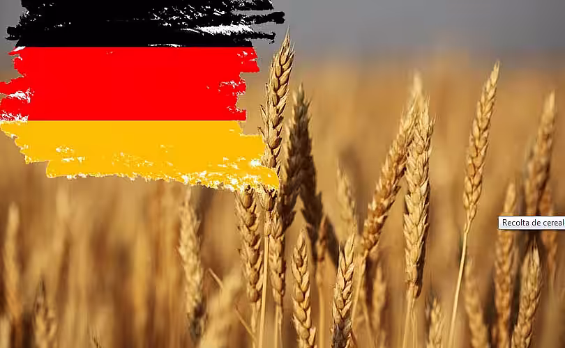 Recolta de cereale a Germaniei, în cădere liberă! De ce scad producțiile?