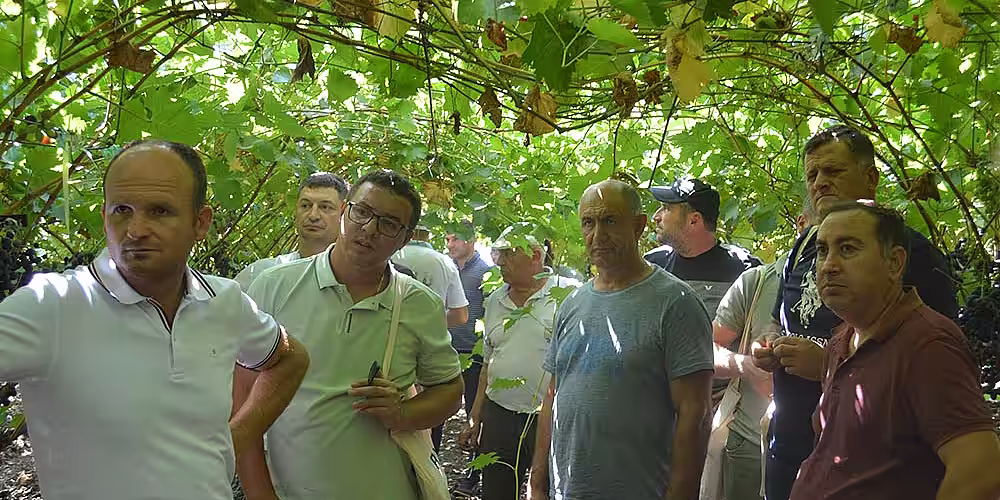 La Ialoveni a fost organizat seminarul „Sistemul integrat de protecție a viței-de-vie cu produse BASF”