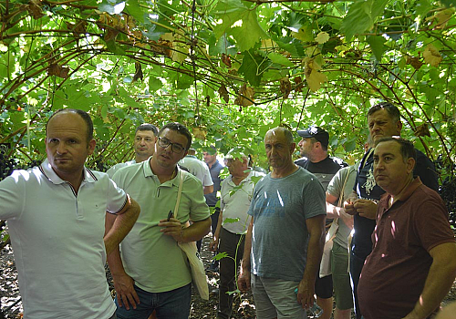 alt_La Ialoveni a fost organizat seminarul „Sistemul integrat de protecție a viței-de-vie cu produse BASF”