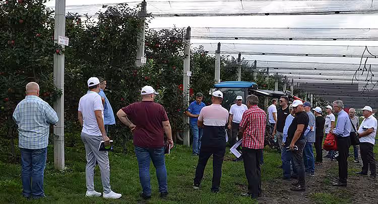 Tehnologia RAC 3+4 – o metodă inovativă de la BASF pentru protejarea livezilor de măr de dăunători
