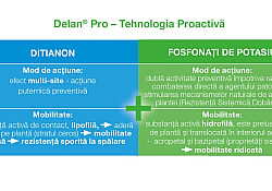 delan-tehnologie-proactiva_1540x866.webp delan-tehnologie-proactiva_1540x866.webp