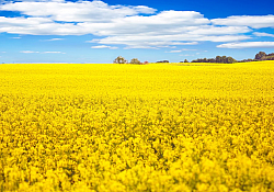 2020_07_header-invigor1165_1540x866.jpg