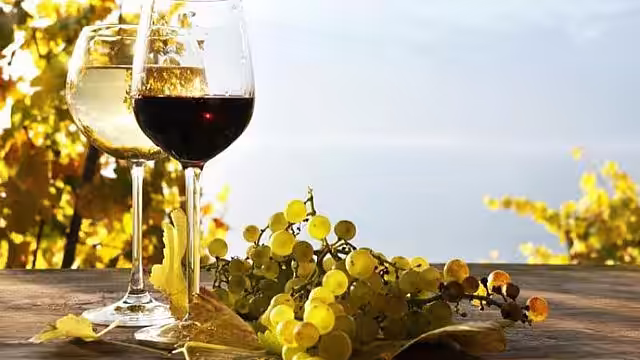 Pandemia de COVID-19 ar putea scădea cu 30% sau chiar 50% exportul produselor vitivinicole autohtone