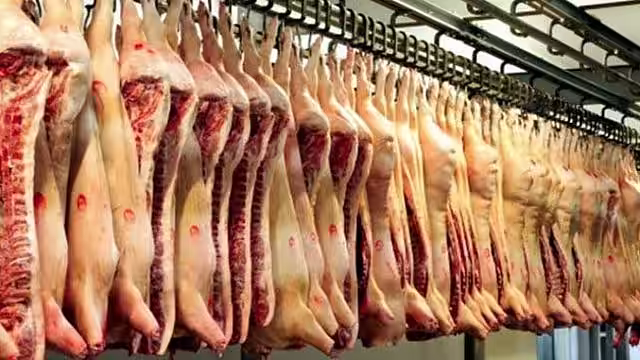 Prognoza FAO privind producţia de carne