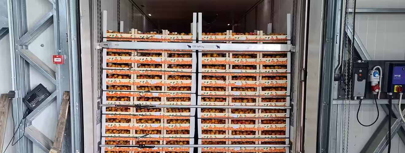 Caise autohtone exportate în premieră în Olanda