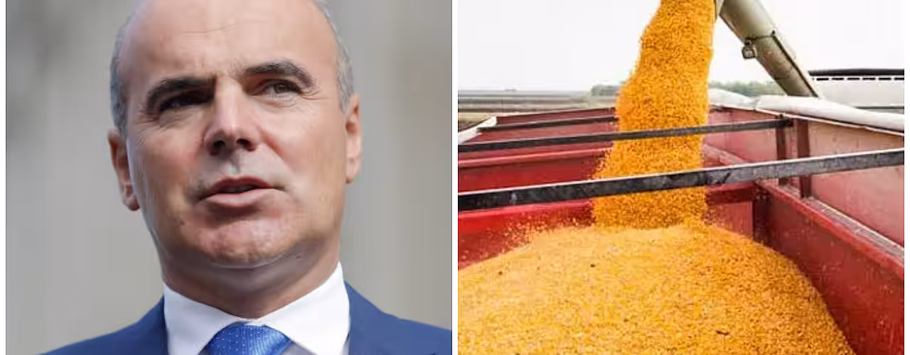 Europarlamentar român la Bruxelles: Fermierii români sunt pe marginea falimentului din cauza cerealelor ieftine din Ucraina