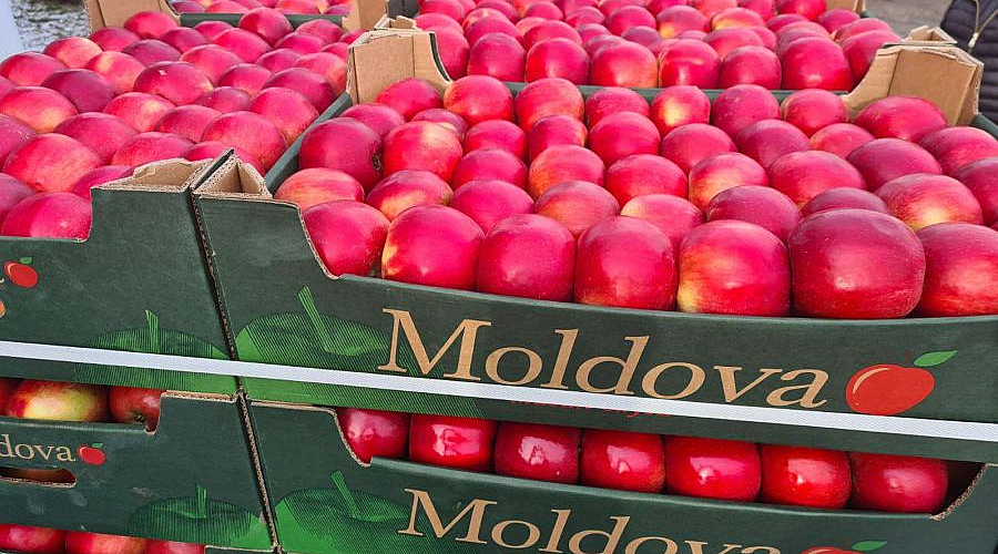 Recolta de mere în Moldova - cu 40% mai mică