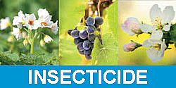 Lista insecticidelor propuse de compania Sanctum AG