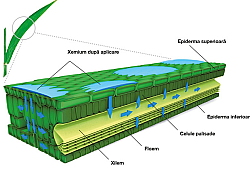 2021_12_xemium7.jpg 2021_12_xemium7.jpg