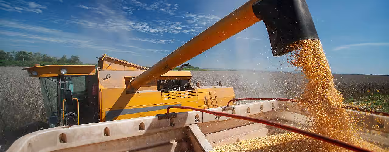 Producătorii agricoli și fermierii români cer guvernului Ciolacu interzicerea importului de cereale din Ucraina