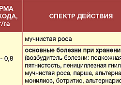 2017_03_Bellis-regulament.jpg 2017_03_Bellis-regulament.jpg