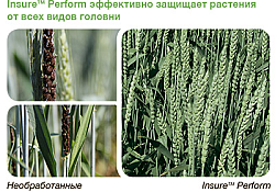 2016_07_insur-perform-golovnea-rus.jpg 2016_07_insur-perform-golovnea-rus.jpg