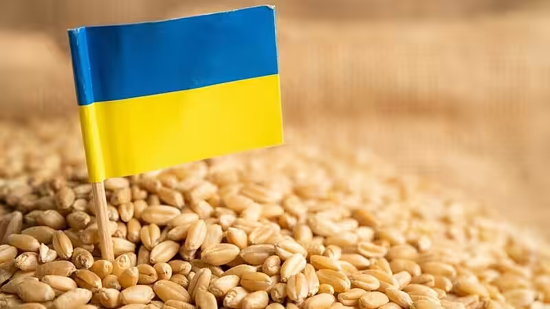 Cinci state, între care și România, cer Comisiei Europene să extindă interdicţia importurilor de alimente din Ucraina