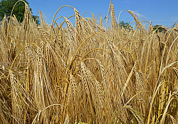 2024_06_multie4.jpg 2024_06_multie4.jpg
