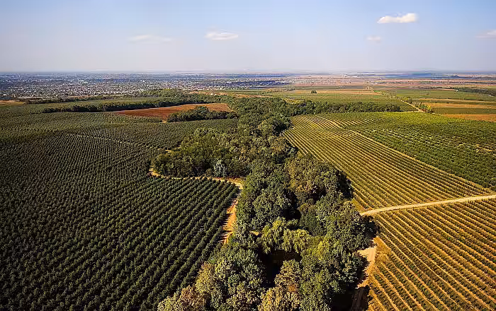 Cu cât a scăzut producția agricolă în primele 9 luni. Date statistice