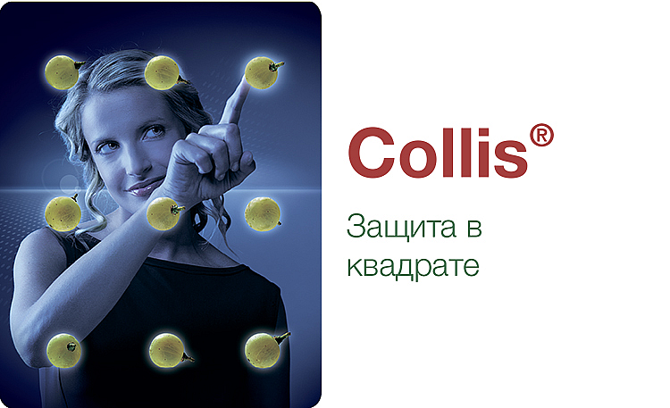 Collis® - описание и характеристика продукта