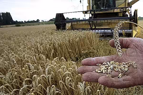 UE - perspectivele agricole pe termen scurt