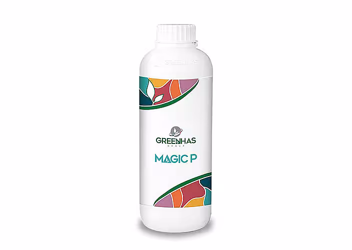MAGIC P – pornire vegetativă imediată și dezvoltare completă a rădăcinilor
