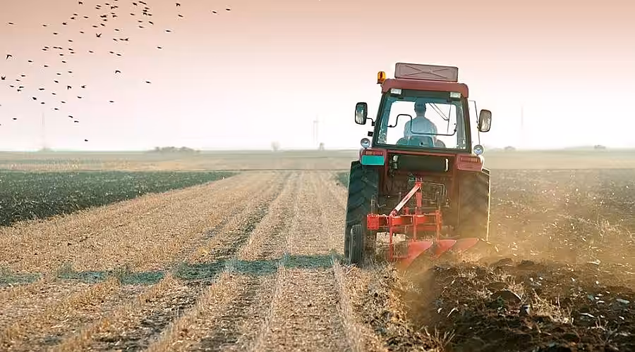 Agricultura RM în cădere liberă: anul trecut a scăzut cu 30%