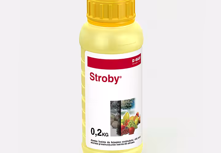 Stroby® - combaterea făinării și rapănului în vii și livezi