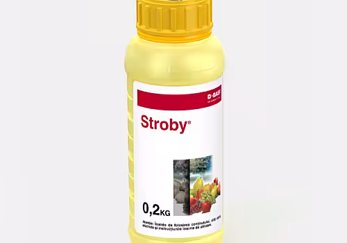 alt_Stroby® - combaterea făinării și rapănului în vii și livezi