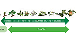 delan-rapan-moment-aplicare_1540x866.webp delan-rapan-moment-aplicare_1540x866.webp