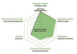 2016_07_insur-perform-efienta-rus.jpg 2016_07_insur-perform-efienta-rus.jpg