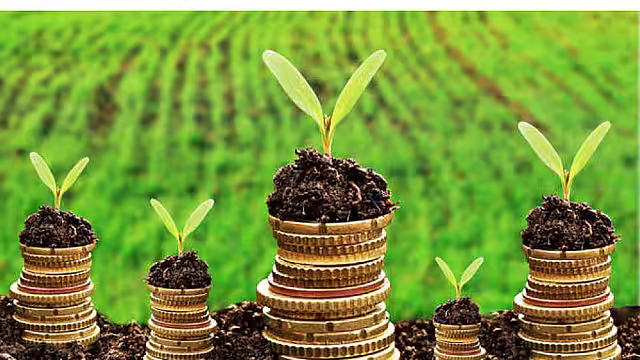 Program de finanțare de 660 milioane de lei, lansat de Ministerul Agriculturii