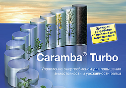 2017_09_Caramba.jpg 2017_09_Caramba.jpg