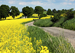 2020_07_invigor3-1166.jpg