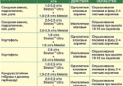 2017_03_Stratos-Ultra-regulament.jpg