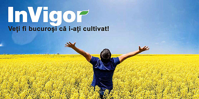 Alege hibrizii performanți de rapiță InVigor de la BASF