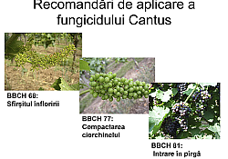 2019_08_recomandari-2.jpg 2019_08_recomandari-2.jpg