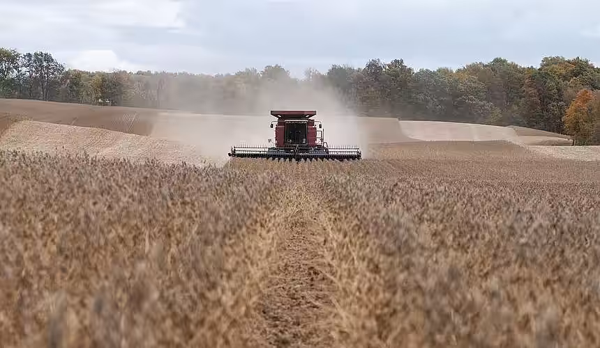 Prețurile grâului, soia și porumbului vor fi febrile și în 2023