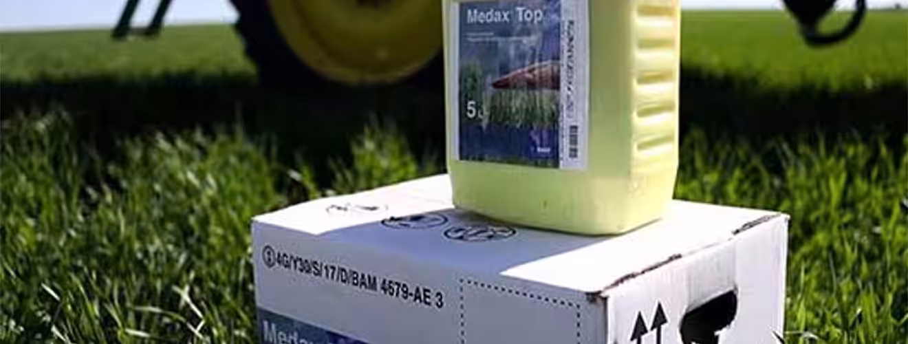 De ce are loc fenomenul de cădere a cerealelor și cum poate fi prevenit?