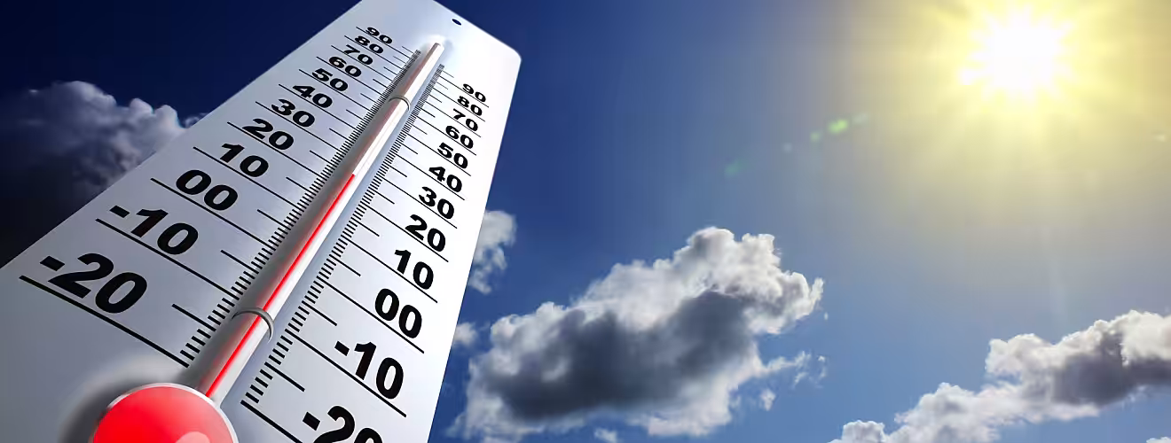 Temperaturile optime pentru aplicarea diferitor substanțe active