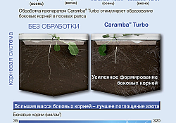 2017_09_Caramba-6.jpg 2017_09_Caramba-6.jpg