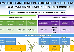 2021_09_boli2.jpg
